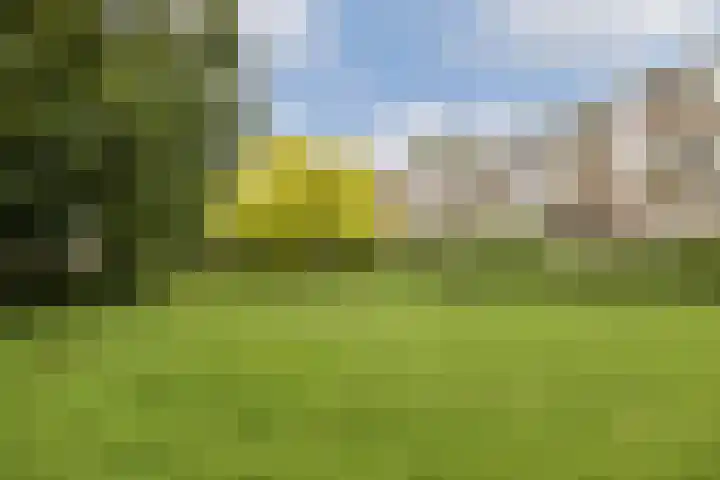Meander 827 Amstelveen thumbnail 26