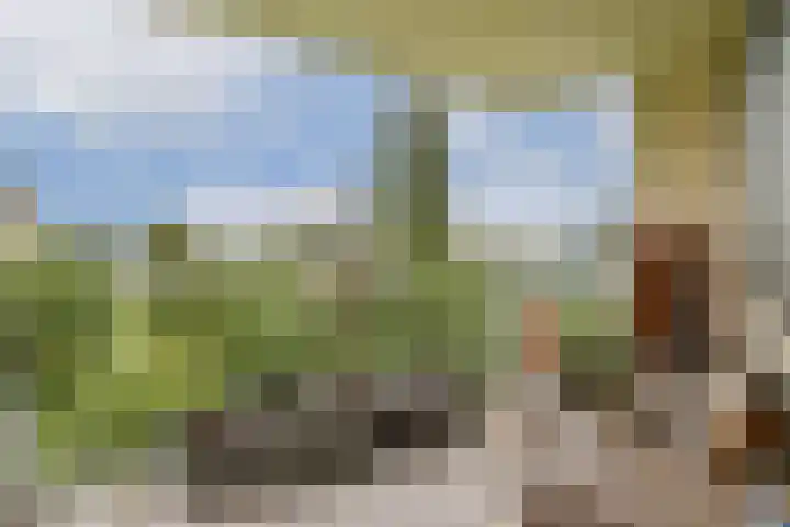 Meander 827 Amstelveen thumbnail 9