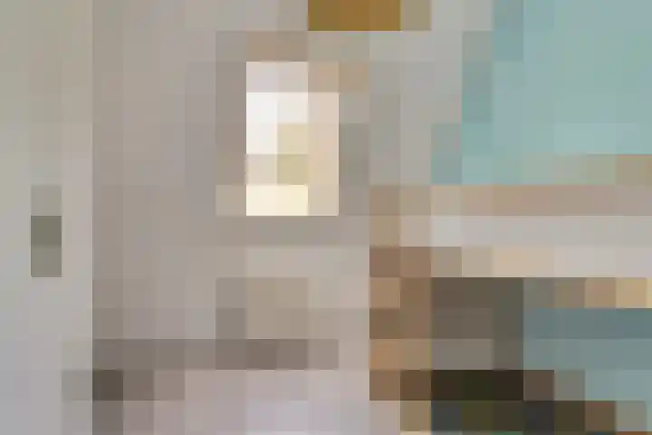 Meander 84 Bemmel thumbnail 16