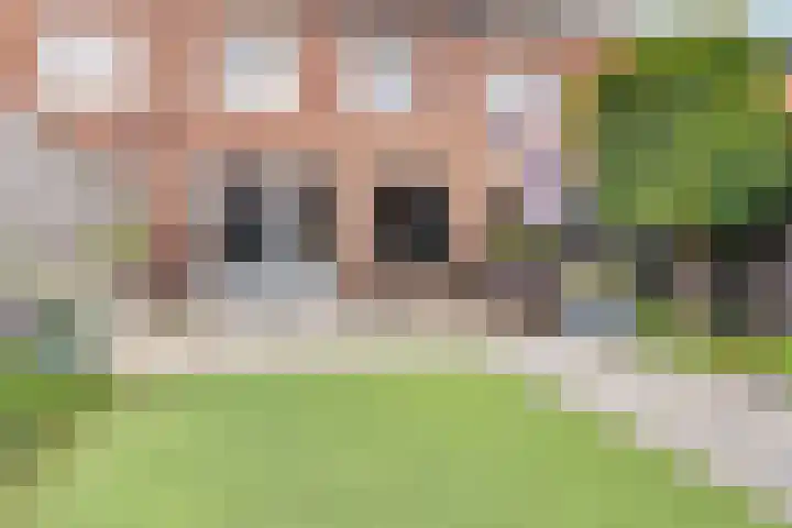 Meander 84 Bemmel thumbnail 31