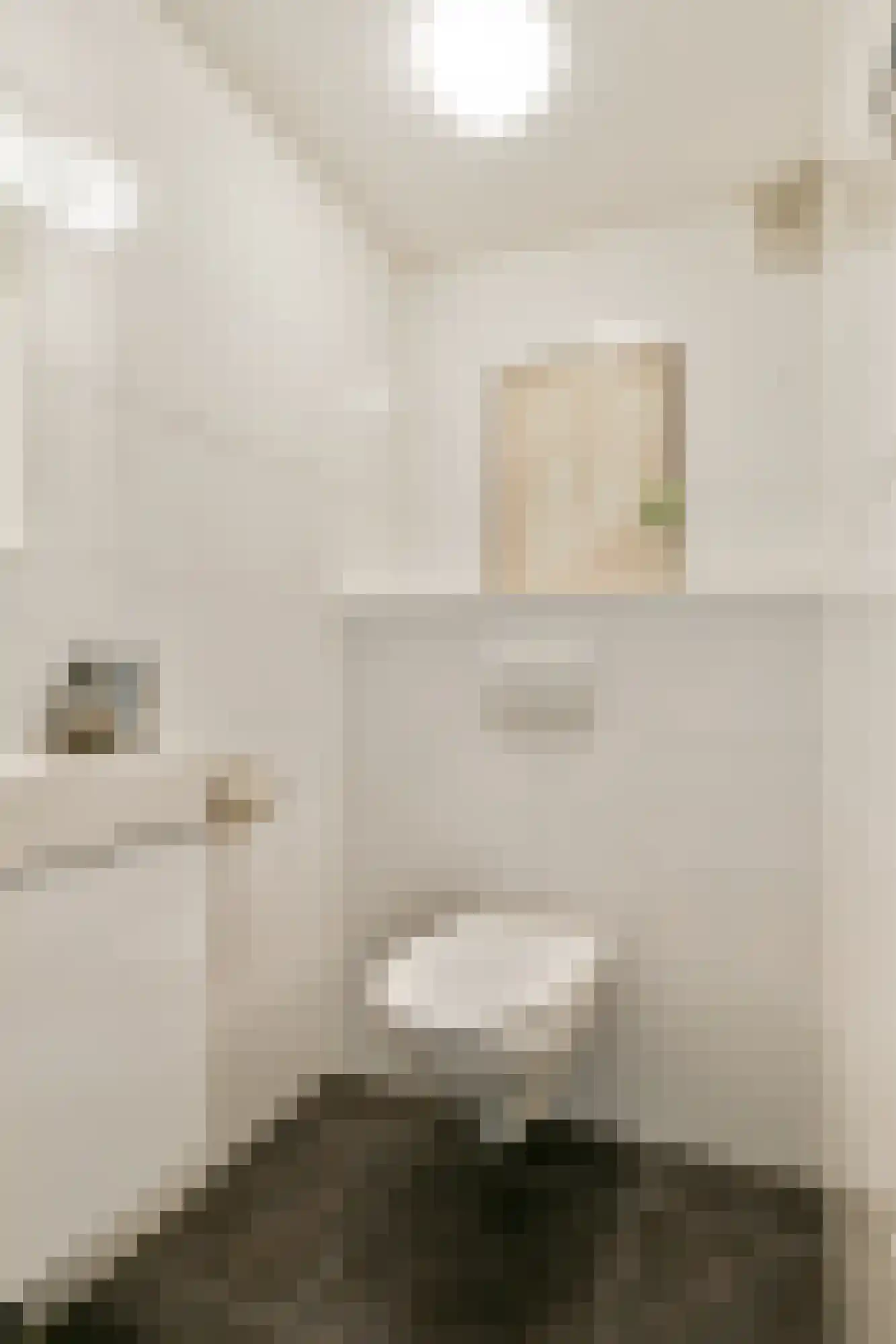 Meander 855 Amstelveen thumbnail 21