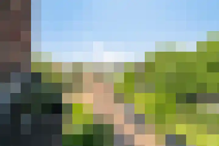 Meander 87 Noordwijkerhout thumbnail 20