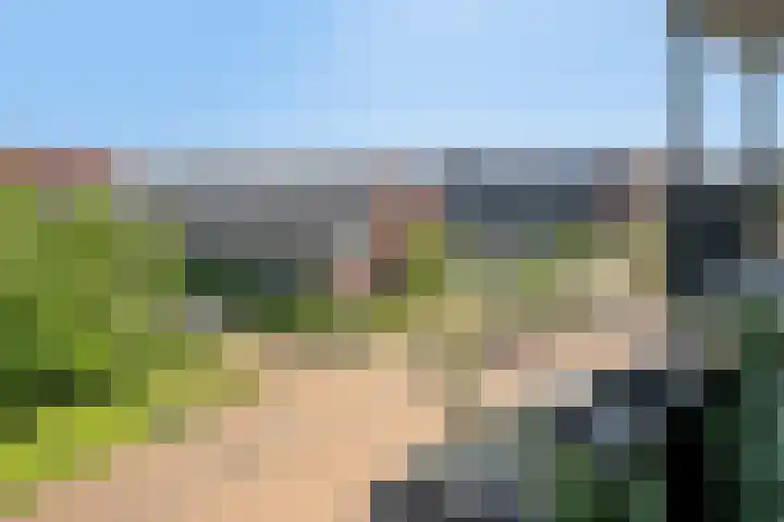 Meander 87 Noordwijkerhout thumbnail 21