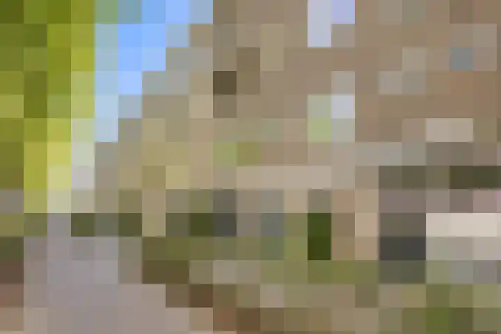 Meander 921 Amstelveen thumbnail 28