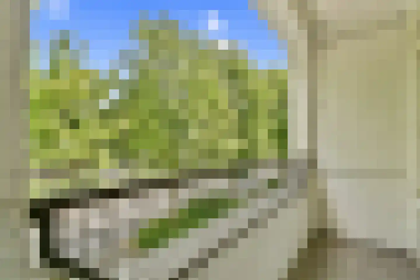 Meander 923 Amstelveen thumbnail 16