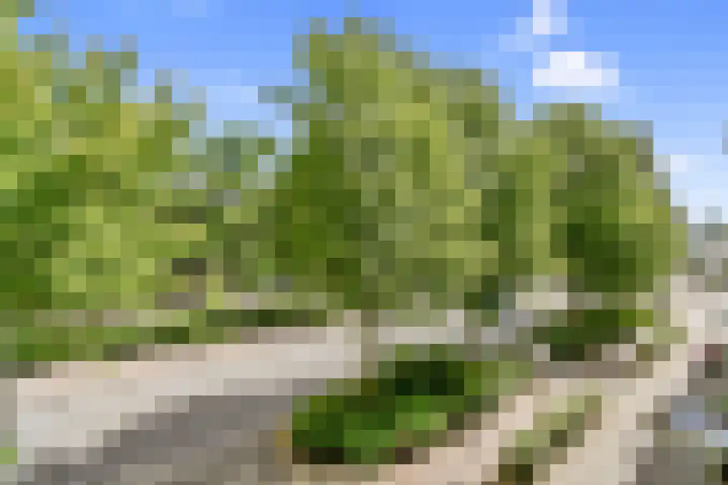 Meander 923 Amstelveen thumbnail 18