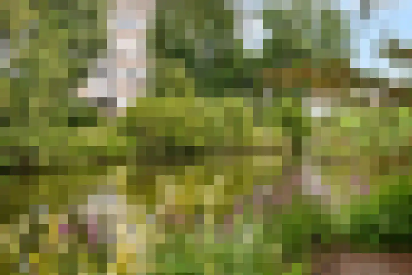 Meander 923 Amstelveen thumbnail 25