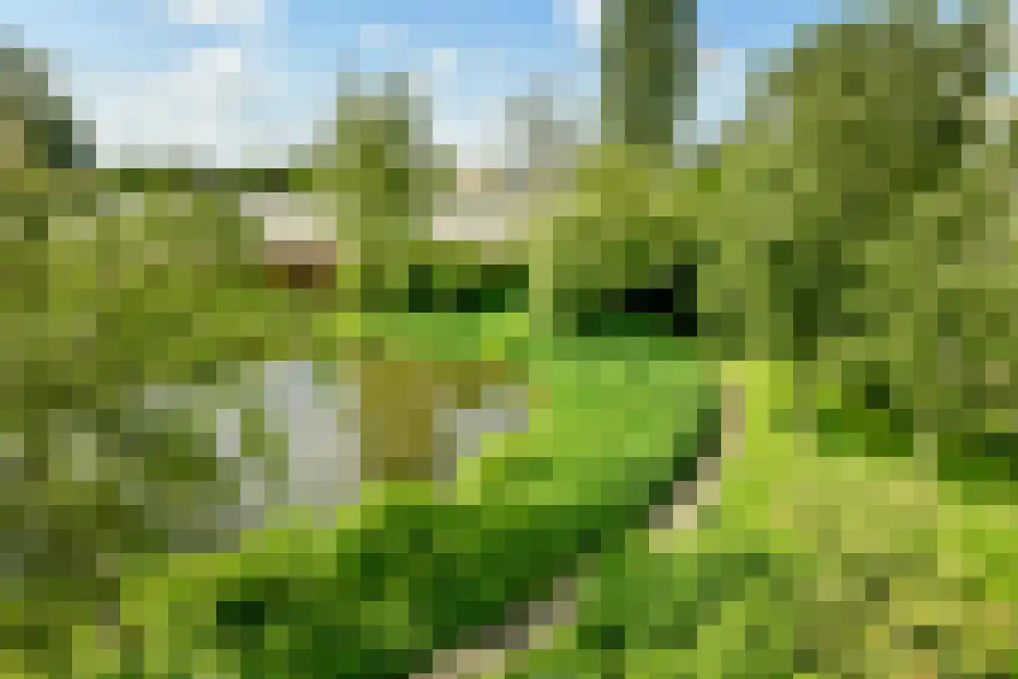 Meander 995 Amstelveen thumbnail 24