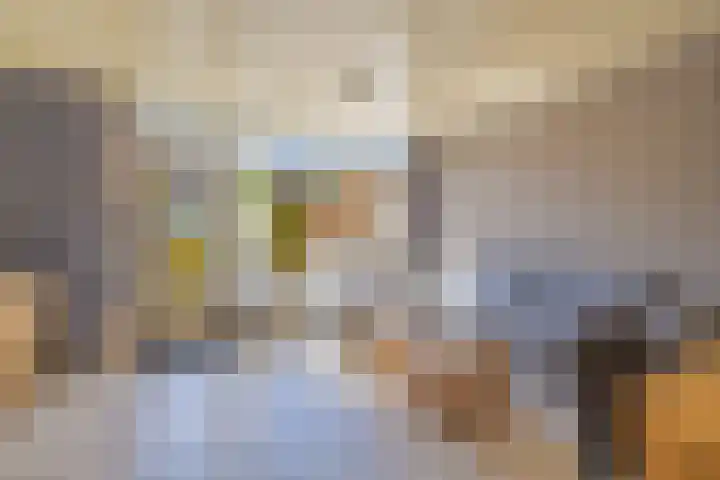 Meanderhof 101 Middelburg thumbnail 11