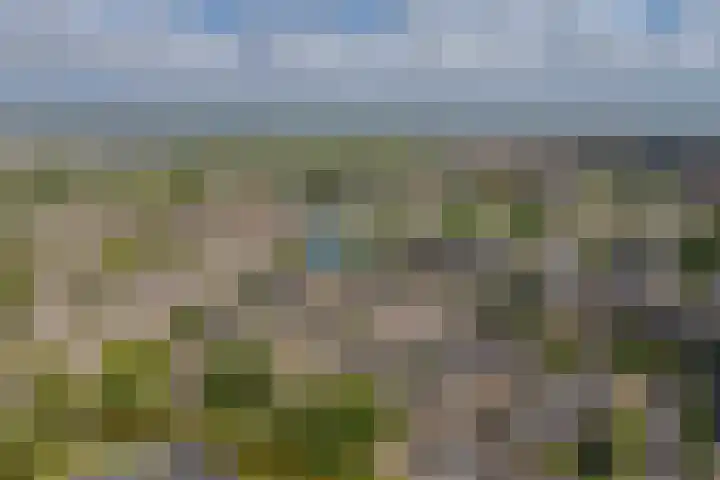Meanderhof 101 Middelburg thumbnail 4