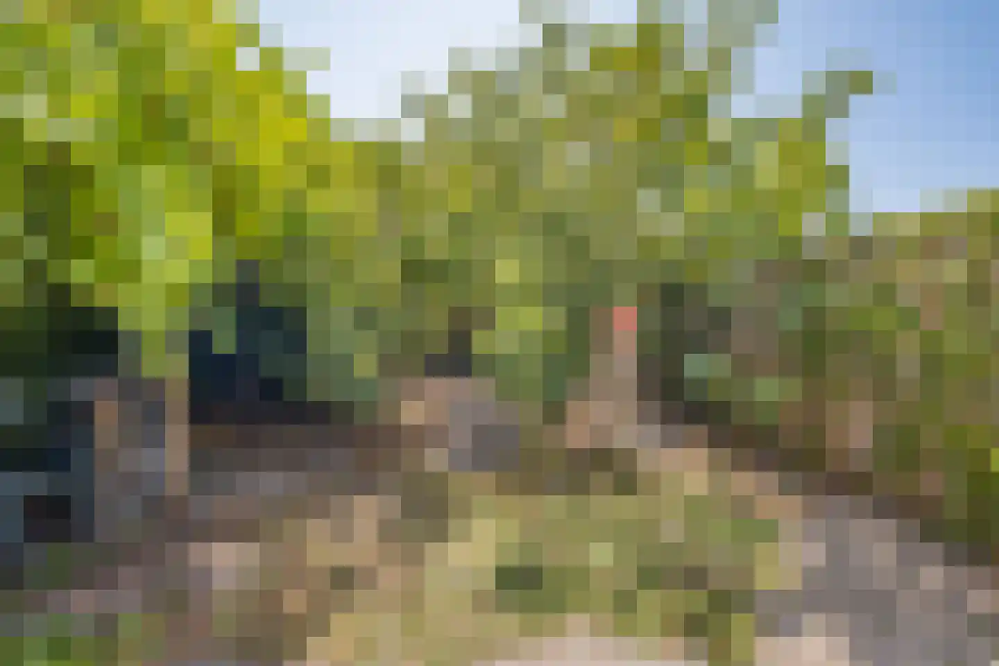 Meanderhof 29 Middelburg thumbnail 19