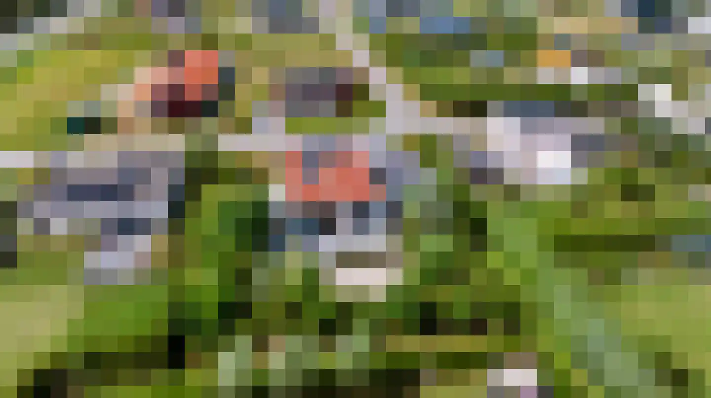 Meanderlaan 12 Almere thumbnail 29