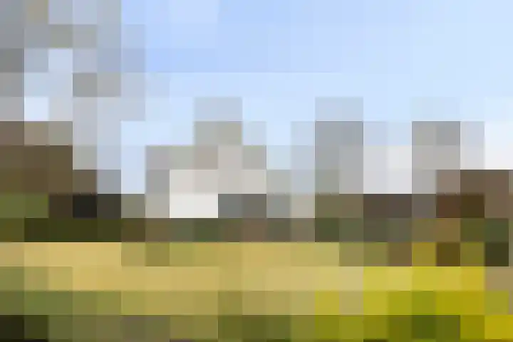 Meanderlaan 122 Tholen thumbnail 14