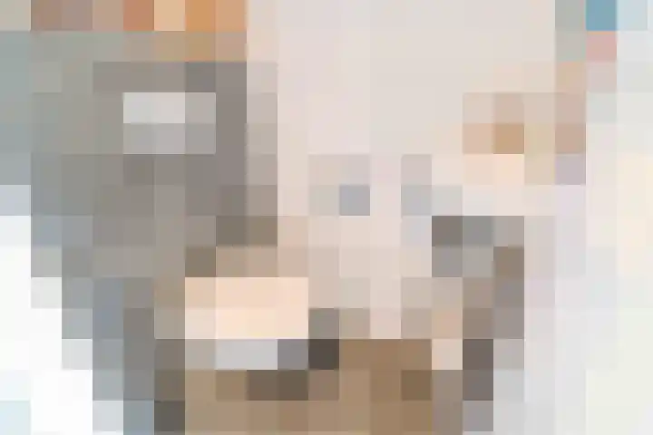 Meanderlaan 122 Tholen thumbnail 23