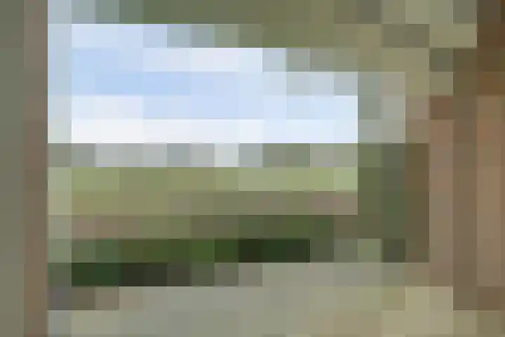 Meanderlaan 122 Tholen thumbnail 25