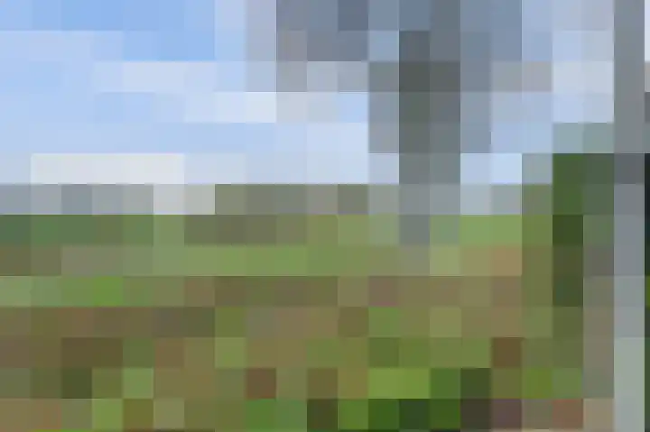 Meanderlaan 122 Tholen thumbnail 27