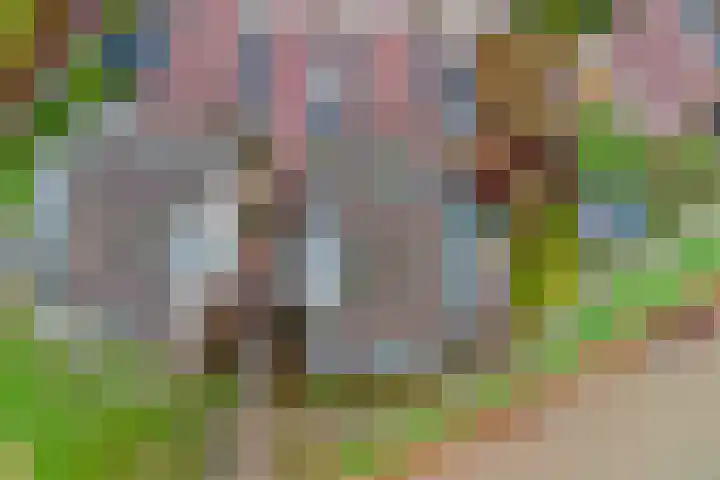 Meanderlaan 122 Tholen thumbnail 35