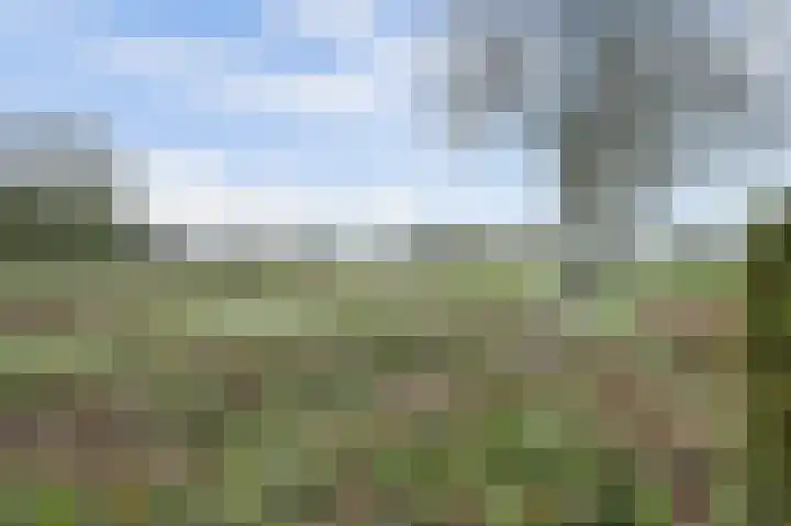 Meanderlaan 122 Tholen thumbnail 40