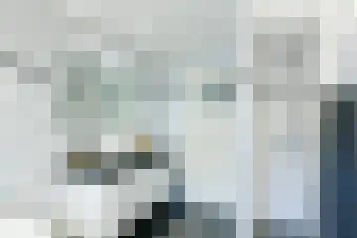Meanderlaan 122 Tholen thumbnail 41
