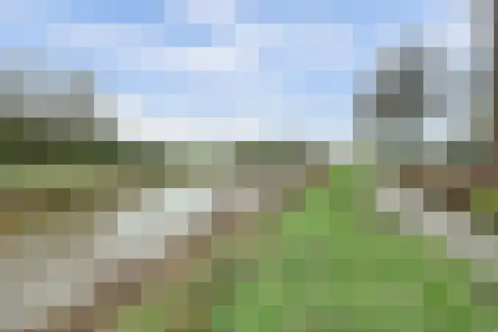 Meanderlaan 122 Tholen thumbnail 41