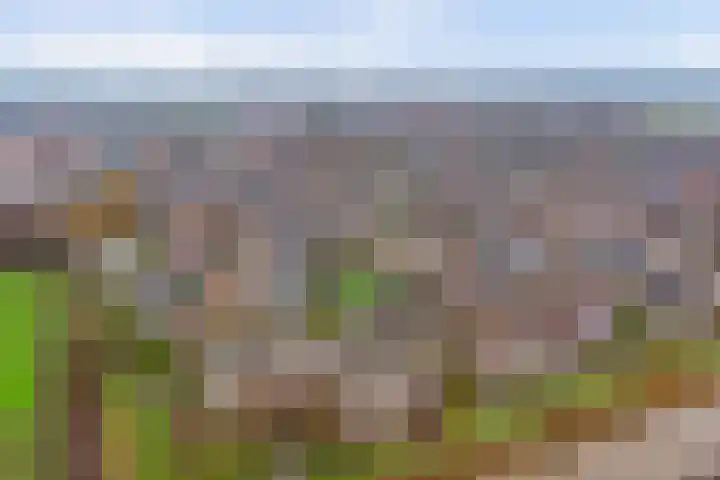 Meanderlaan 122 Tholen thumbnail 43