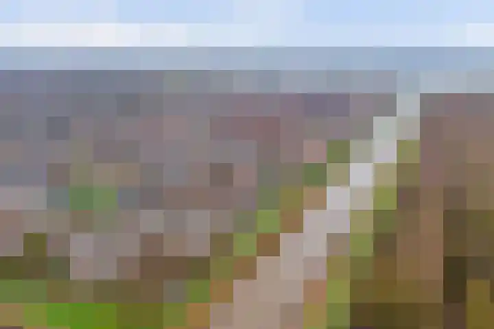 Meanderlaan 122 Tholen thumbnail 45