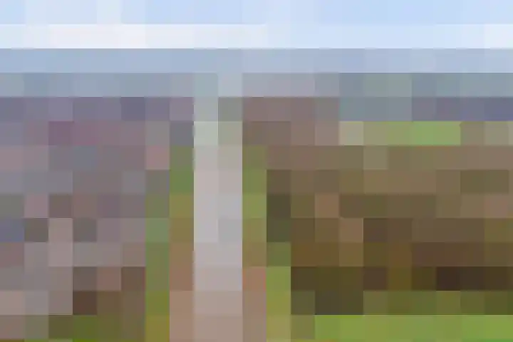 Meanderlaan 122 Tholen thumbnail 46