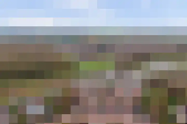 Meanderlaan 122 Tholen thumbnail 47