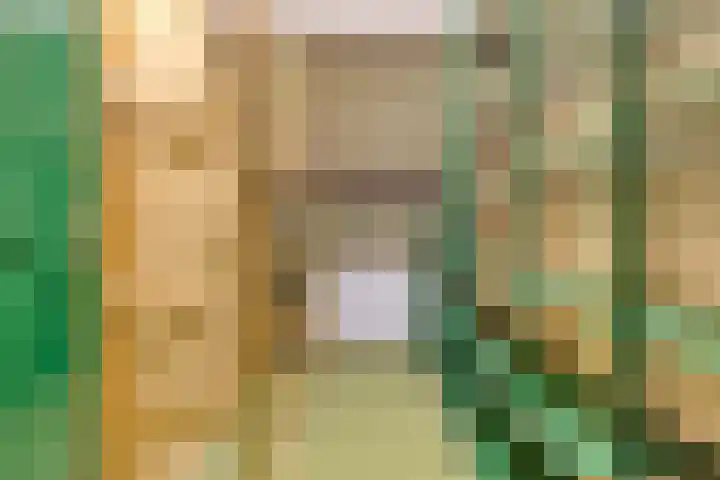 Meanderlaan 122 Tholen thumbnail 48