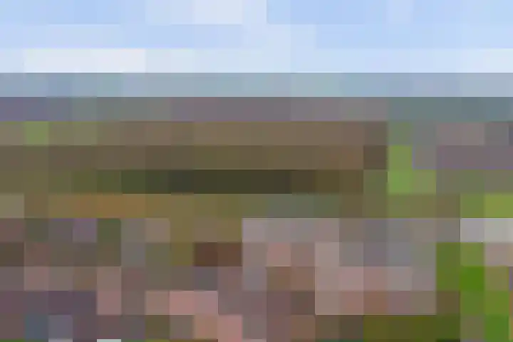 Meanderlaan 122 Tholen thumbnail 48