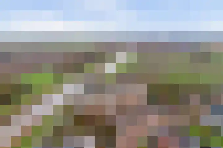 Meanderlaan 122 Tholen thumbnail 49
