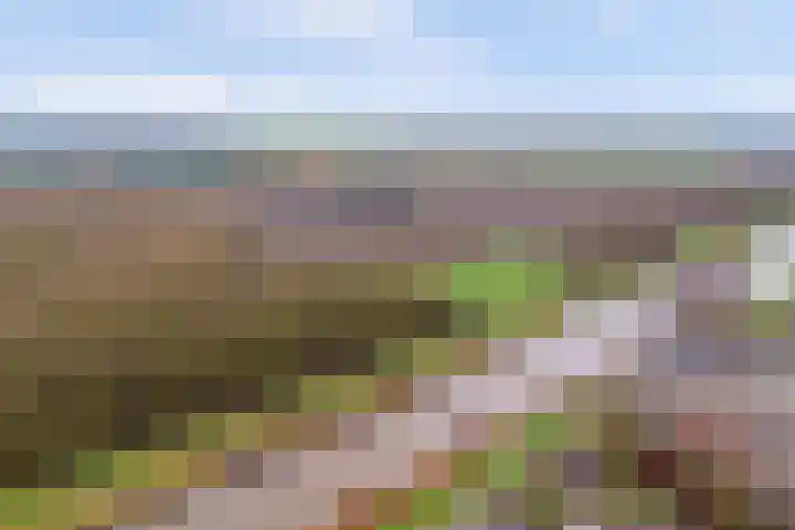Meanderlaan 122 Tholen thumbnail 50