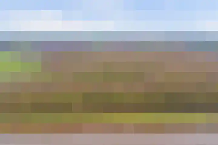 Meanderlaan 122 Tholen thumbnail 51
