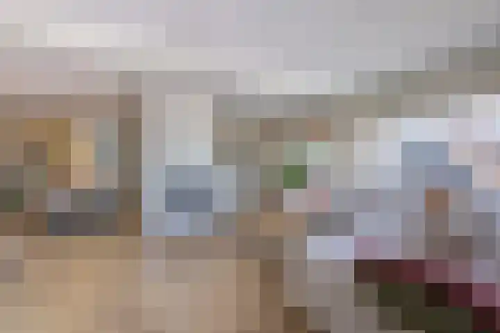 Meanderlaan 122 Tholen thumbnail 55