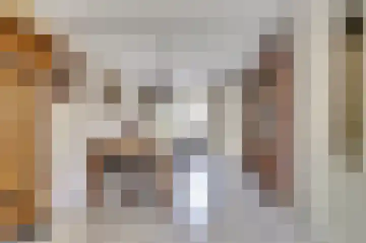 Meanderlaan 143 Tholen thumbnail 13