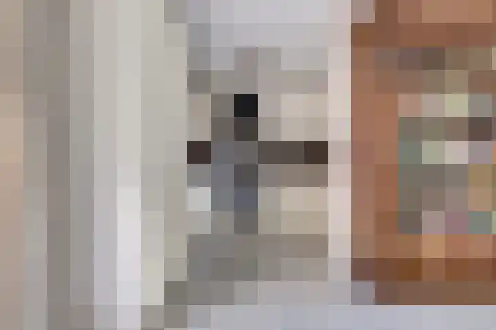 Meanderlaan 143 Tholen thumbnail 15