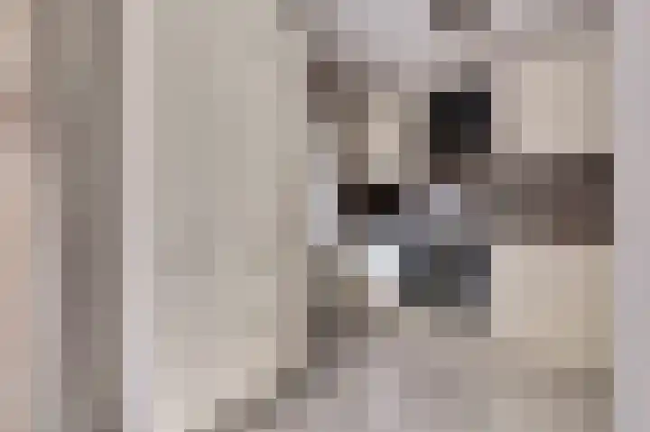 Meanderlaan 143 Tholen thumbnail 16