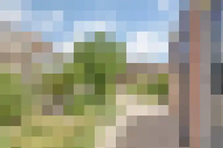 Meanderlaan 143 Tholen thumbnail 34