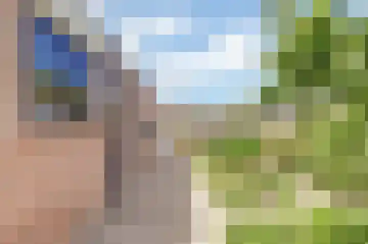 Meanderlaan 143 Tholen thumbnail 35