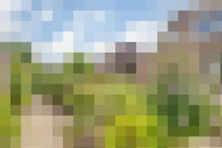 Meanderlaan 143 Tholen thumbnail 36