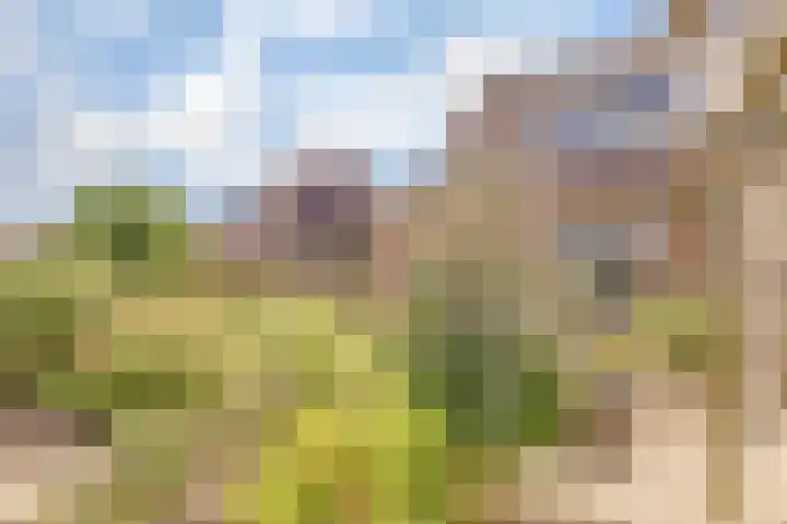Meanderlaan 143 Tholen thumbnail 37