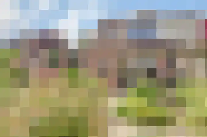 Meanderlaan 143 Tholen thumbnail 38