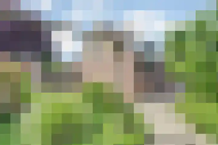 Meanderlaan 143 Tholen thumbnail 40