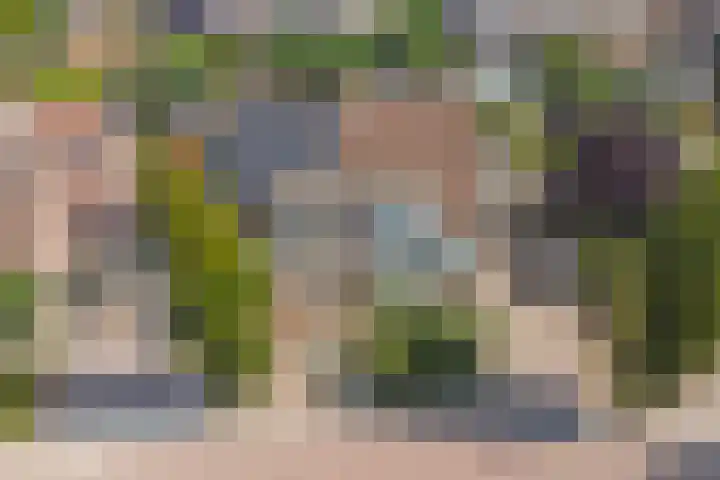 Meanderlaan 143 Tholen thumbnail 41