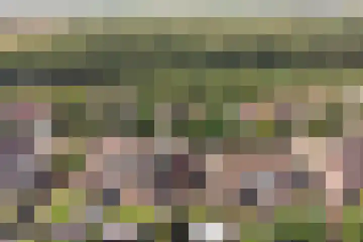 Meanderlaan 143 Tholen thumbnail 42