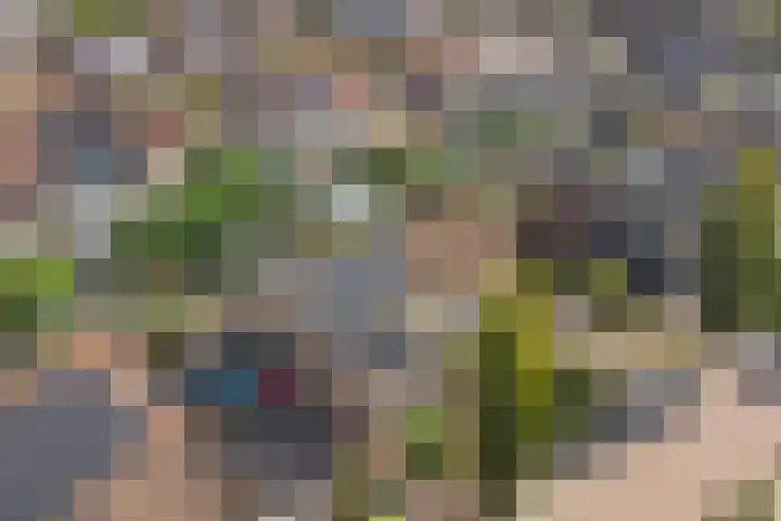 Meanderlaan 143 Tholen thumbnail 45