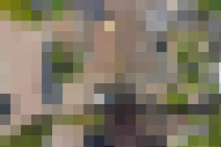 Meanderlaan 143 Tholen thumbnail 46
