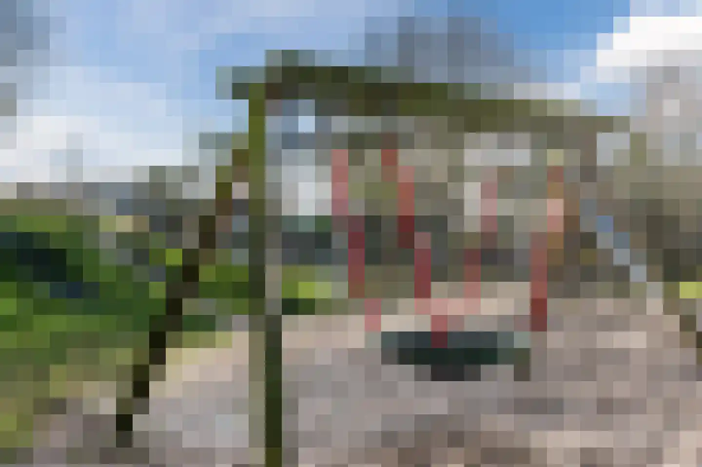 Meanderlaan 16 Valkenburg thumbnail 40