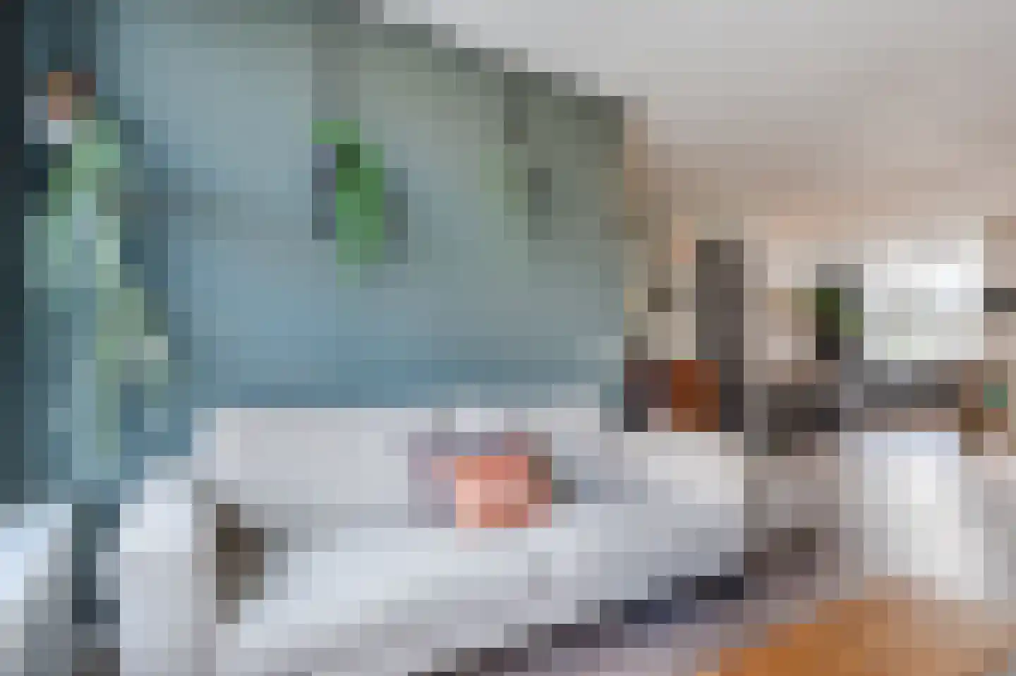 Meanderlaan 16 Valkenburg thumbnail 8
