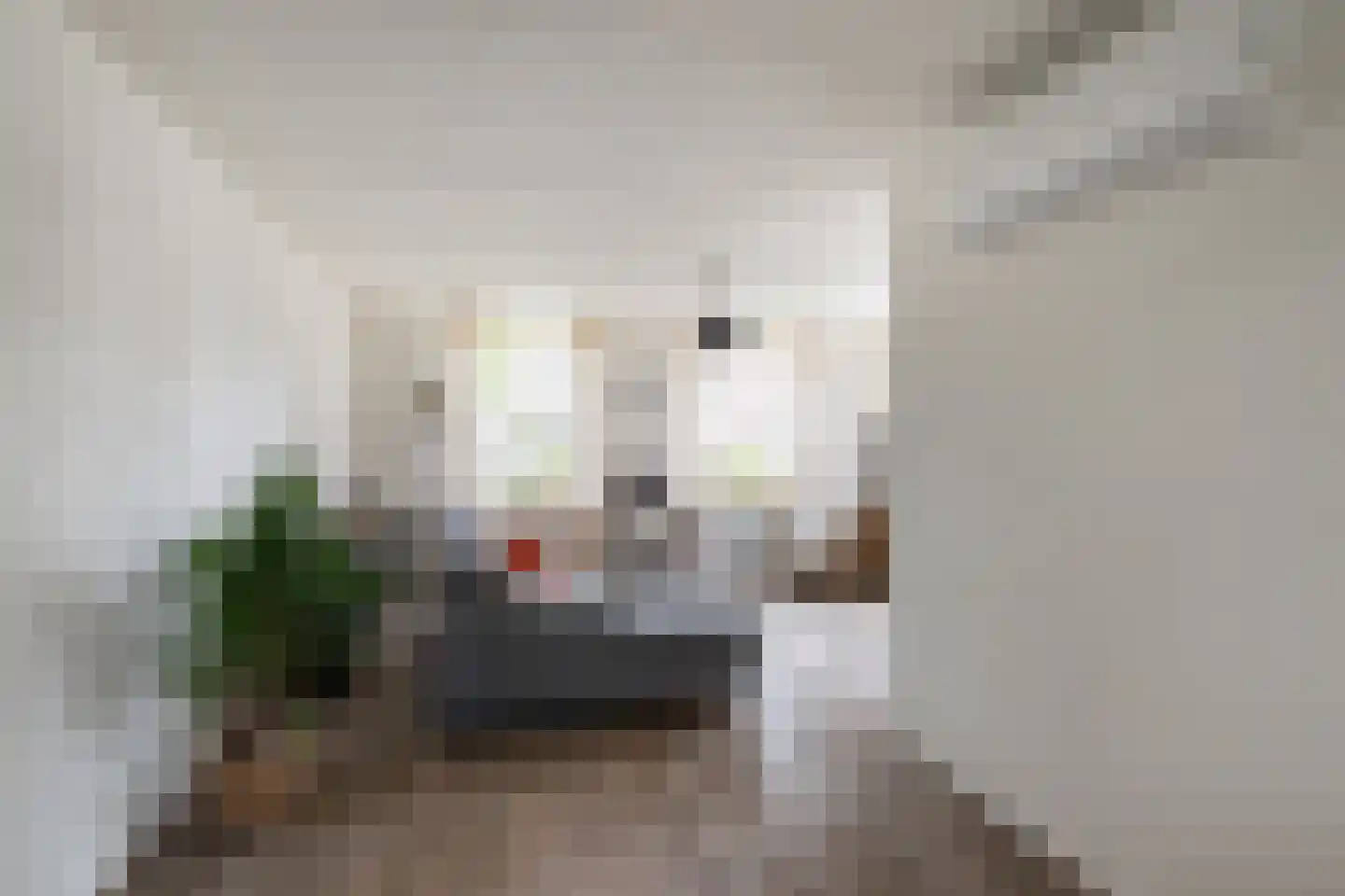 Meanderlaan 171 Tholen thumbnail 12
